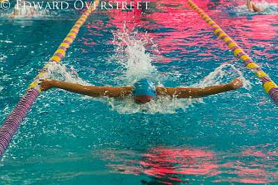 Swimsenior Night 7